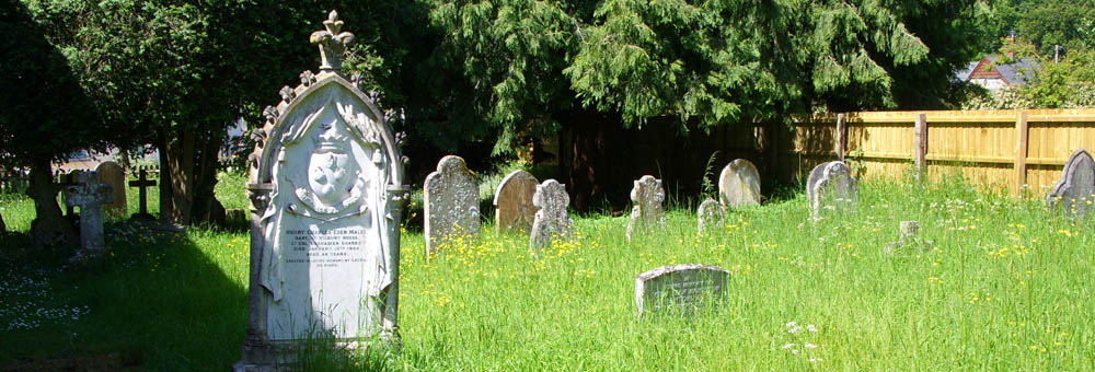 Newton Toney Wiltshire village image of St Andrews churchyard