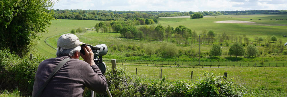 Newton Toney Wiltshire village image showing a brid watcher